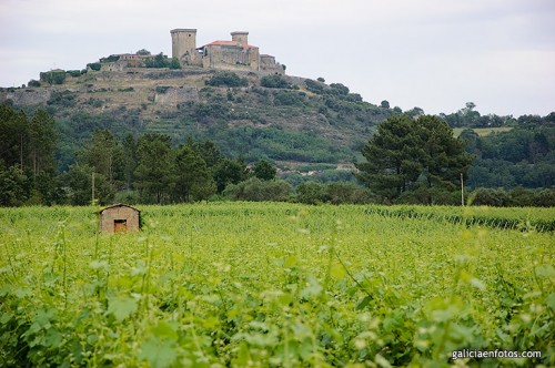 Castillo desde las viñas