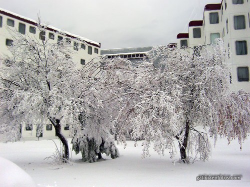 Nieve en Manzaneda