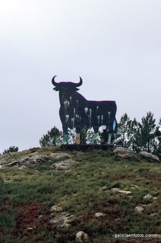 El toro de la Cañiza II