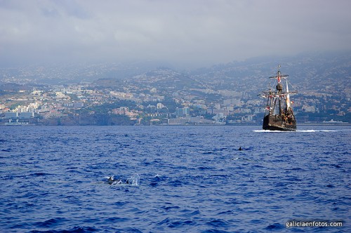 Carabela y delfines